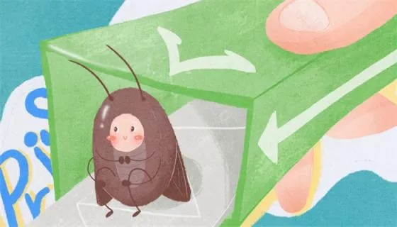 梦境解析，梦到一只蟑螂的深层含义与心理暗示