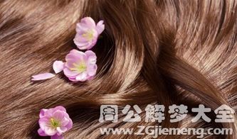 晚上梦见自己掉了好大一堆头发，解读梦境中的焦虑与转变