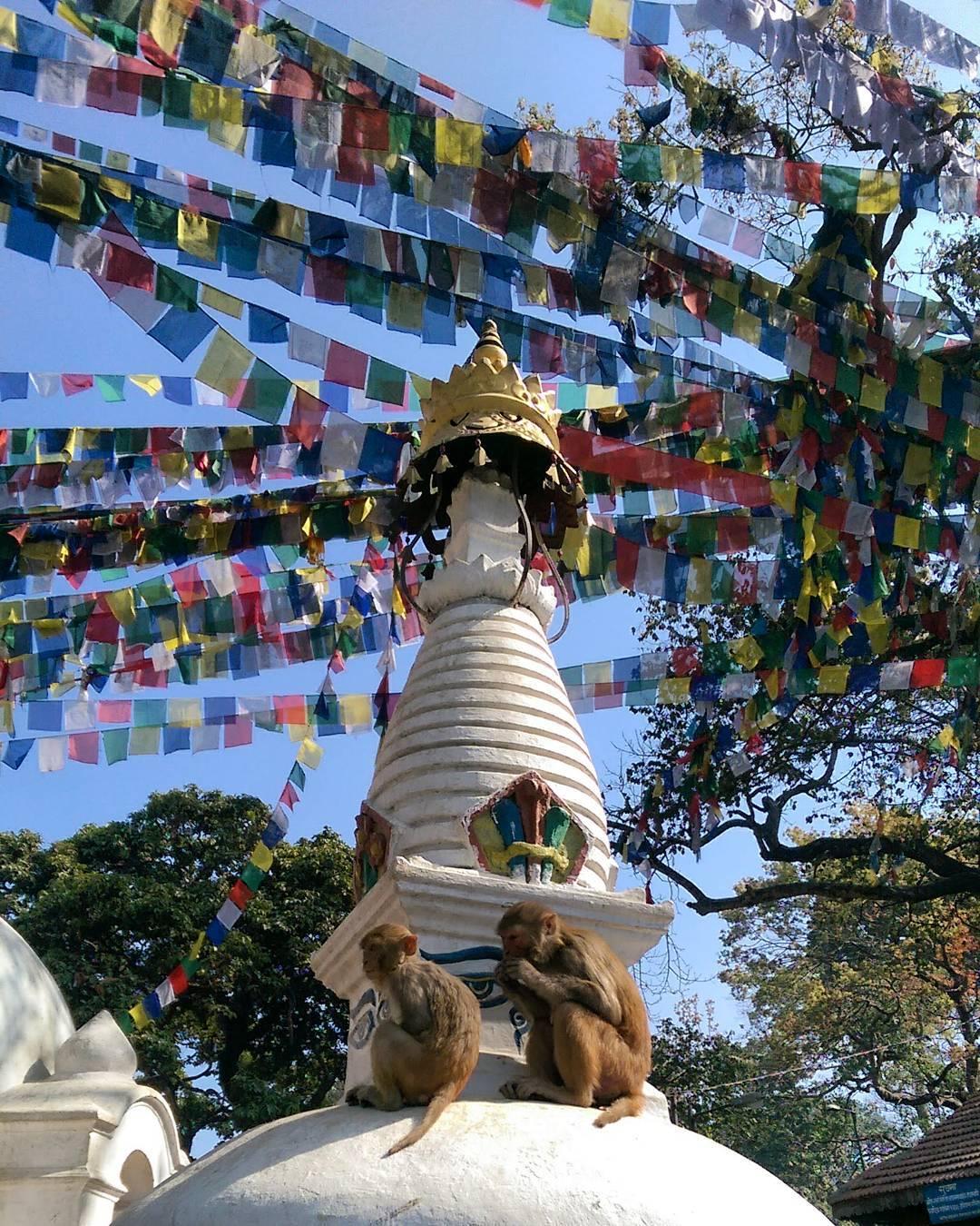 梦探秘，解析梦到自己的头发左被人剃了一小溜的深层含义