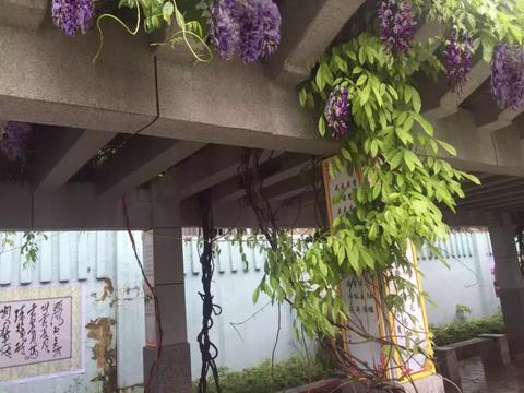 梦境解析，超大蜜蜂追逐的深层含义