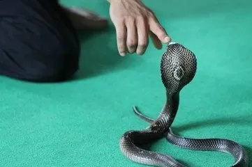 梦见弟弟被蛇咬了自己身上却流血了，梦境背后的深层含义与解析