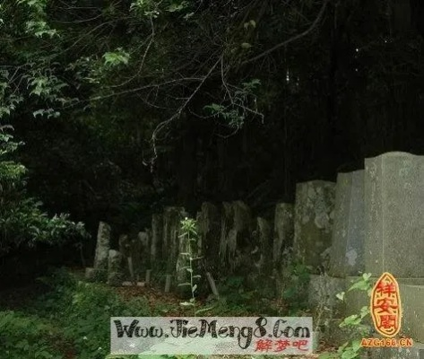 梦境迷雾中的指引，解析梦见在乱坟岗上行走迷路了很久才找到出口的周公解梦含义