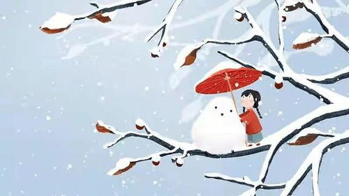 梦见下雪有柿子玉米，冬日丰收与内心宁静的预兆