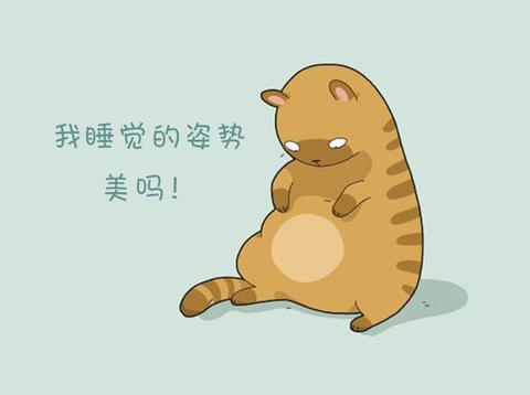 梦境解析，为何会梦到一只猫把老公挖走？