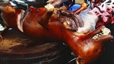 梦境中的恐怖与母爱，解析梦见吃死婴儿的肉，像卤猪头的深层含义