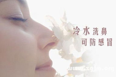 梦见自己鼻子流血不止，梦境背后的深层含义与解析