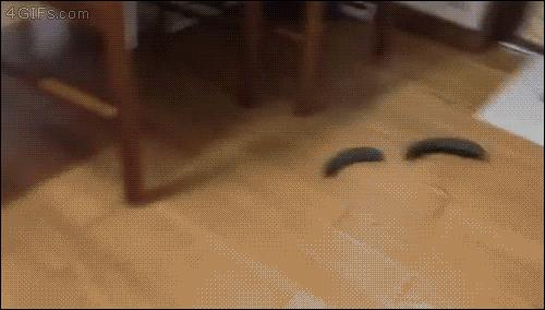 梦见被猫和蛇咬，梦境背后的深层含义与解析