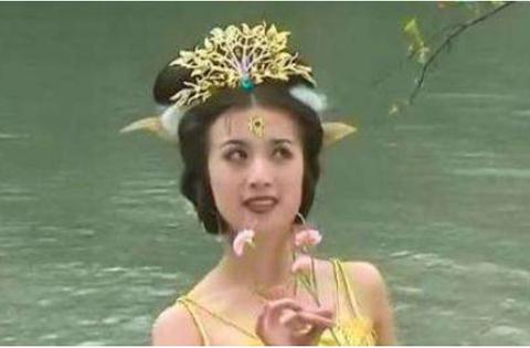 八梦奇缘，梦里七女一子的寓意与解析