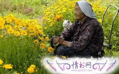 梦境中的哀伤与释怀，梦见已故奶奶再次离世的深层解读