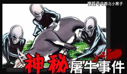 揭秘梦境奥秘，为何会梦到被牛追？