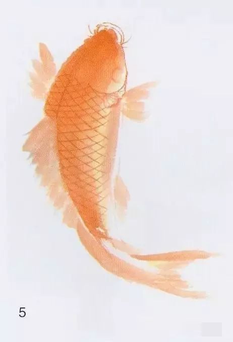 中午午休时梦见池塘里很多鱼有条是红鲤鱼，探寻梦境中的寓意与启示