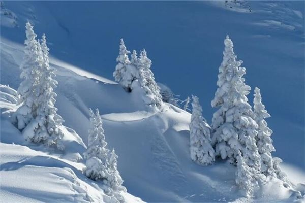 周公解梦，雪地追逐幻象——梦遇无兔之雪境探析