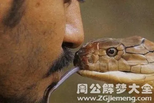 梦到被毒蛇咬了，周公解梦与心理分析