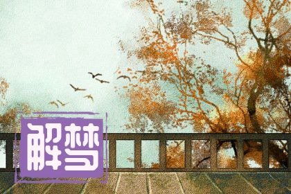 梦境解析，昨晚上梦到的羊圈之谜