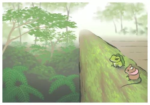 梦回河畔，绿甲遗梦，探寻梦境中青蛙般嫩绿的甲鱼之谜