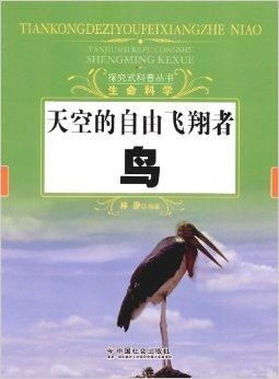 梦境飞翔，探索内心自由与潜能的奥秘