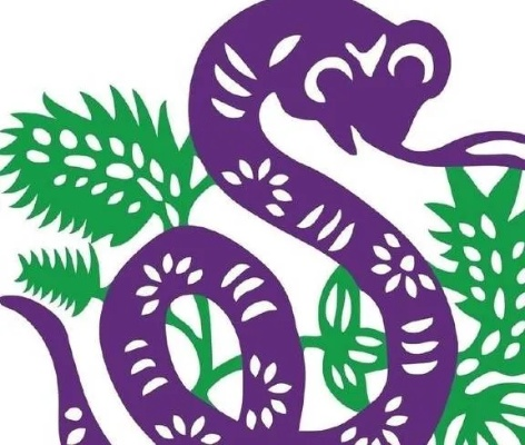 揭秘梦境中的神秘符号，家有蛇、阳台大蛇与狗共处的寓意解析