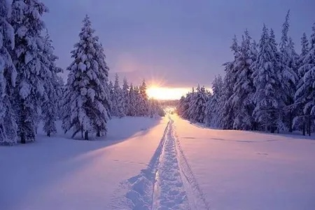 梦见下雪，梦境中的纯净与希望