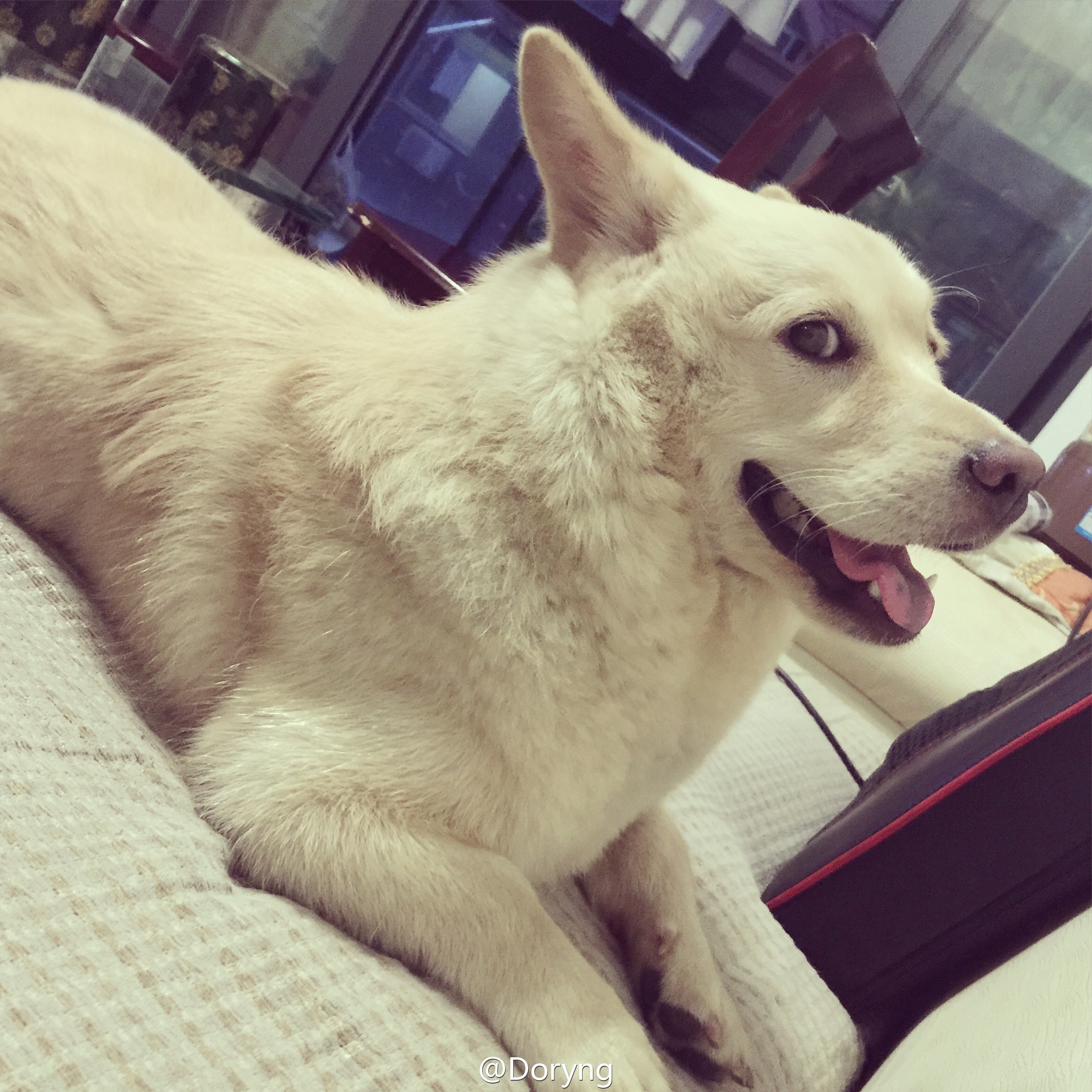 经常梦见鬼，探寻梦境背后的深层原因与解析