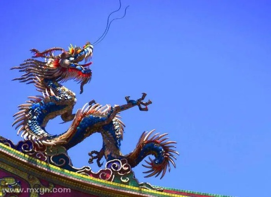 怀孕时梦见龙但是没尾巴，寓意与解析