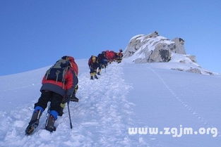 周公解梦，梦见爬山至顶路尽，偶遇犬只，寓意何在？