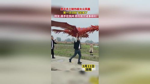 男人梦见捉住三只报喜鸟，预示好运与机遇的梦境解析