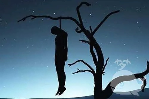 梦见死去的爸爸百年一个猪头给我，解读梦境中的亲情与象征