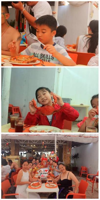 梦境追踪，捕捉乌龟与螃蟹的奇妙冒险