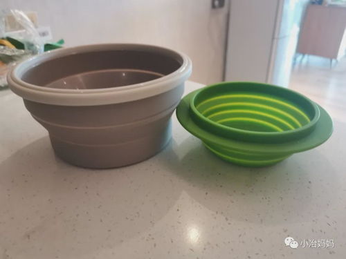 梦境中的奇妙之旅，梦到放生鱼它却飞走了的深层解读