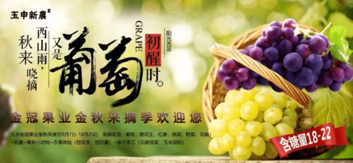 梦境中的果香四溢，解析梦见喝葡萄汁吃梨吃苹果的深层含义