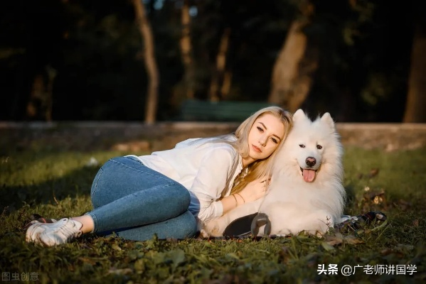 梦境中的忠诚伴侣，最近频繁梦见狗狗，特别是昨晚那只大狗狗带我回家的温馨场景