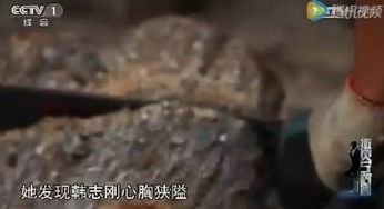 梦境解析，梦见众人挖坟遇尸火焚，寓意何在？