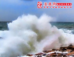 揭秘梦境中的迁徙，做梦梦到搬家究竟意味着什么？