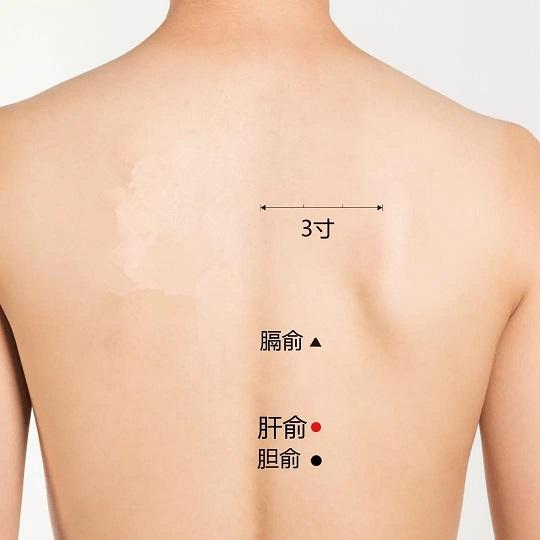 梦见自己大肚子还来月经上厕所大便，解读梦境中的深层含义
