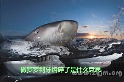 梦见牙齿碎了好多，梦境背后的深层含义与心理解析