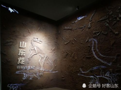 解梦，昨夜梦见大莽蛇，探寻梦境背后的深层含义