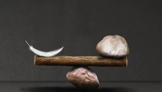 梦见拿石头去打蛇，梦境背后的深层含义与解析