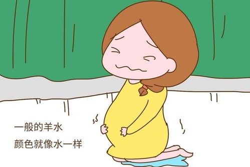 梦见去世的爷爷他怀孕了羊水破了，梦境背后的深层含义与解析