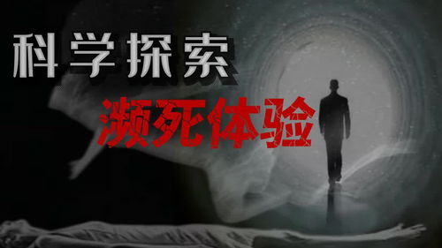 周公解梦，探索梦境与现实的微妙联系——是否有科学道理？