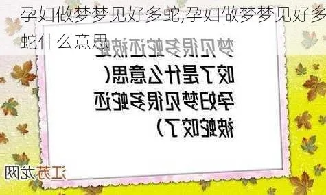 孕妇胎梦梦见小蛇咬我是什么意思？真是要急死我了，好担心啊！