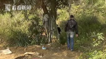 梦境的交错，老人斩蛇与自我消失的隐喻