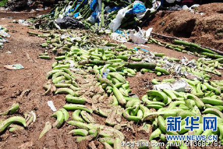 梦见老公捡钱还把钱分给三个人，财富共享与情感纽带的预兆