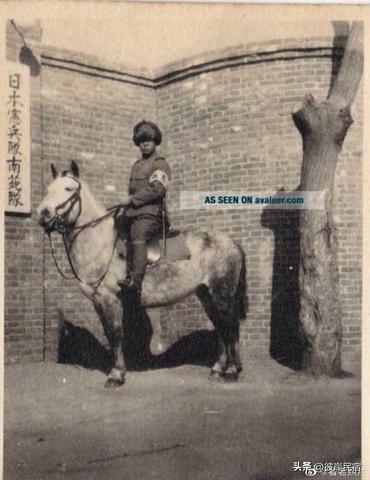 梦见蛇咬我但没咬住，梦境背后的深层含义与解析