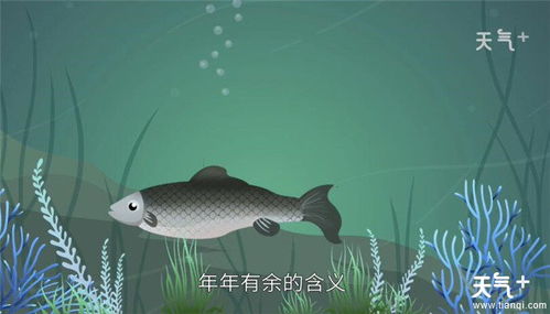 梦见送鱼给亲人，寓意与解析