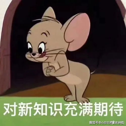 梦境中的温情，解梦我梦到我去世的爷爷在睡觉，他突然醒来叫我帮他盖被子