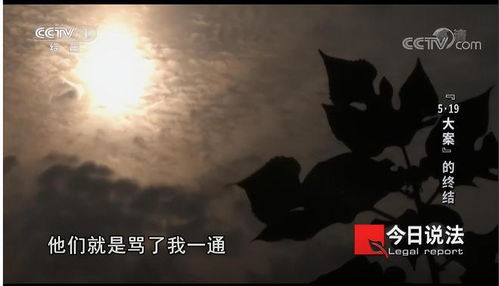 探寻梦境之谜，为何学生会频繁梦见被追杀？