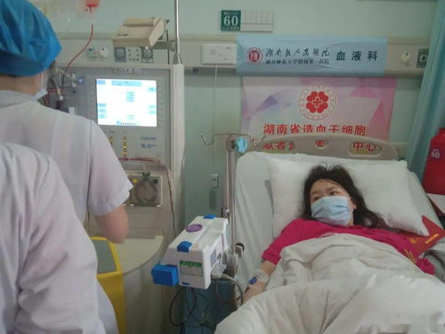 梦见朋友帮忙修机器，友谊与协作力量的象征