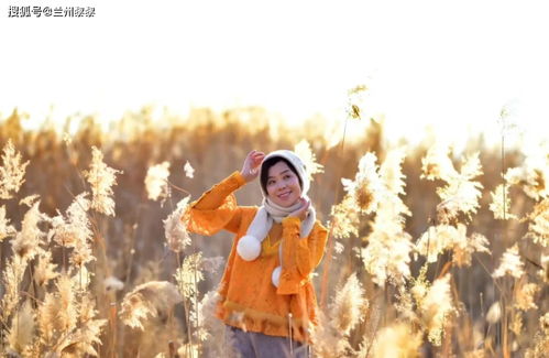 梦境中的温情传递，梦见女同学同事送我好看衣服的深意解析