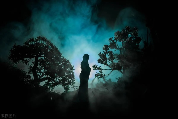 梦境的奥秘，探索梦见自己死了变成魂魄回去找家人的深层含义