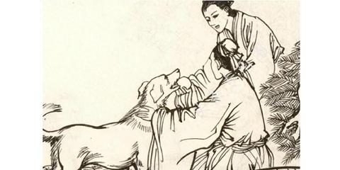 梦境解析，昨晚梦见一条巨大的蛇从水中浮现，意味着什么？